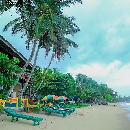 Reggae Zone Beach Resort แทนกาลเล ภายนอก รูปภาพ