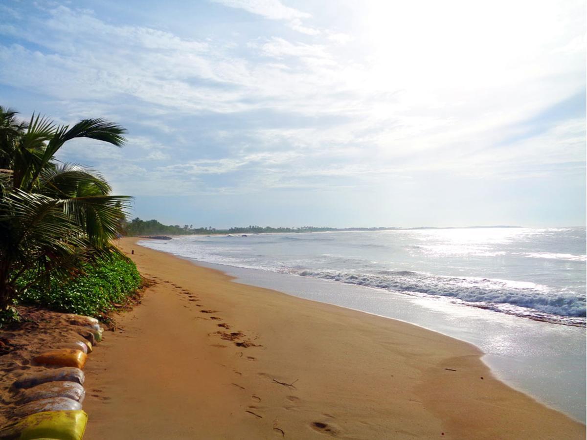 Reggae Zone Beach Resort แทนกาลเล ภายนอก รูปภาพ