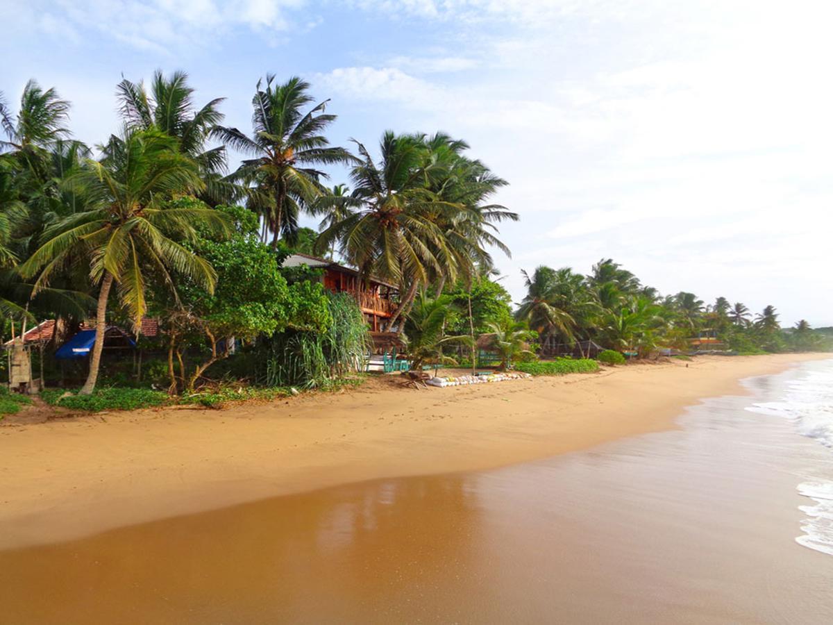 Reggae Zone Beach Resort แทนกาลเล ภายนอก รูปภาพ